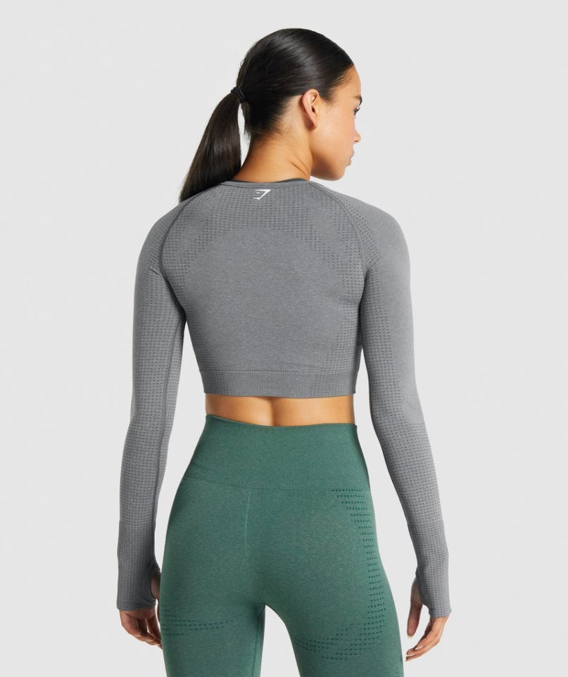 Women's Gymshark Vital Seamless 2.0 Long Sleeve Cropped Tops Grey | CA 0N7361